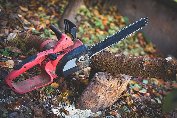 Best Utility Line Clearance  in Jackson, WY